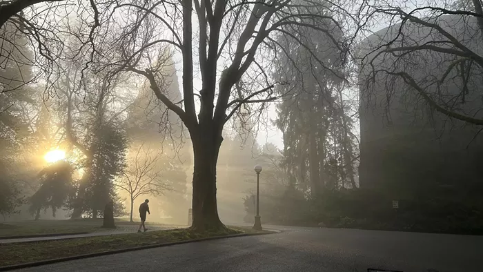 Slog AM: Route 8 Needs More Than Just a Bus Lane, Trump Reduces Number of ICE Thugs in Minnesota, Layoffs at Washington Post Have Begun